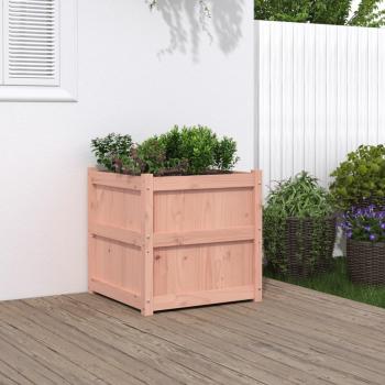 60x60x60 cm Douglas Wood Planter by vidaXL