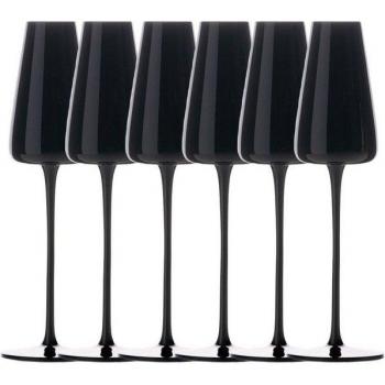 Schwarze Sektgläser 6‑teilig – IntiriLife, Spülmaschinenfest