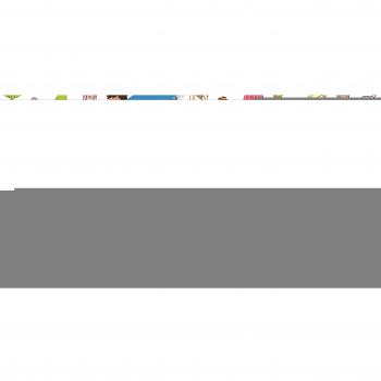 EL VESTIT NOU DE L'EMPERADOR