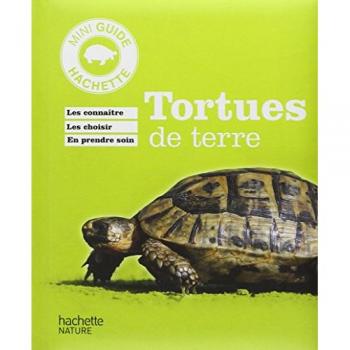 Tortues de terre