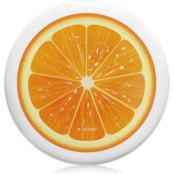 Disque de Jeu Extérieur Ultime 175 grammes