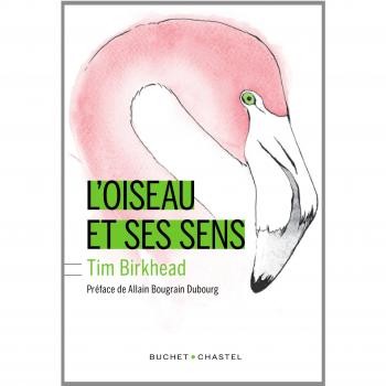L oiseau et ses sens