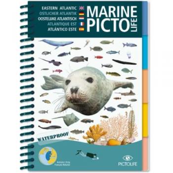 Pictolife Guide Marine Eeastern Atlantic