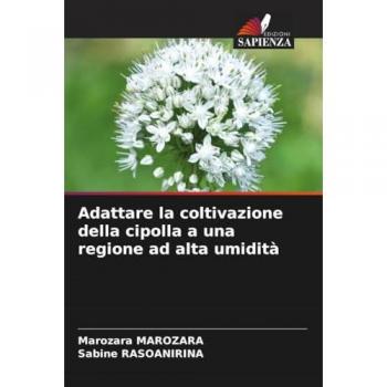 Marozara, Marozara: Adattare la coltivazione della cipolla a una regione ad alta umidità
