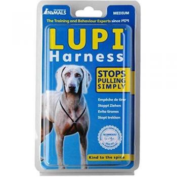 Coachi Dog Lead Training Blue 2-5 m