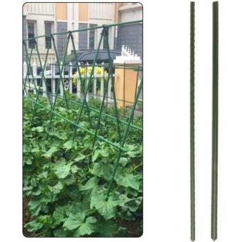 R9UF 60cm Gardening Flower Stick Supports