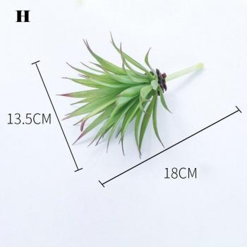 Simulated Succulent Plant