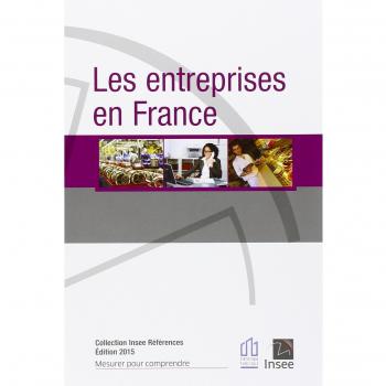 LES ENTREPRISES EN FRANCE 2015