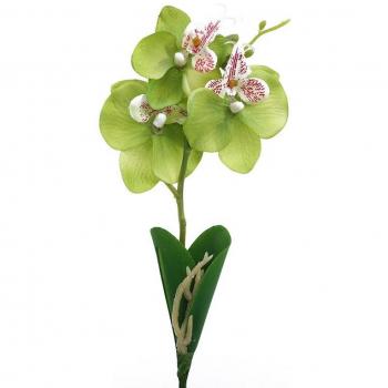 Three Bloom Orchid Table Decoration