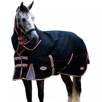 Weatherbeeta Comfitec Premier Plus Detachable Neck Therapy-Tec Lightweight Horse Turnout Sheet