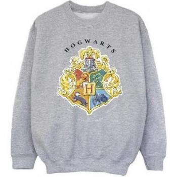 Harry Potter Hogwarts School Sweatshirt for Girls 9-11 Years