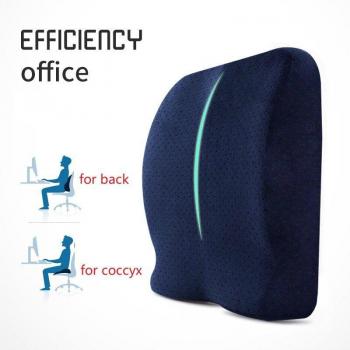 SEEONKA Ergonomic Back Support for Office Chairs