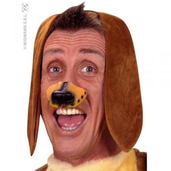 Orecchie Lunghe da Cane Widmann