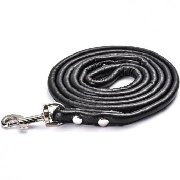 Long PU Leather Dog Leash