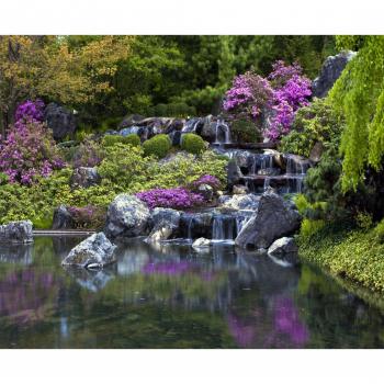 Papier peint panoramique nature cascade vert et violet