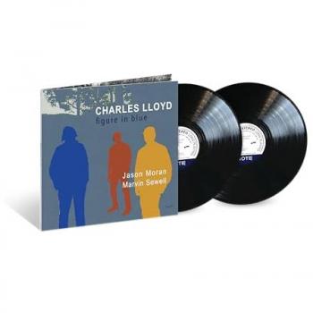 Vinilos Doble