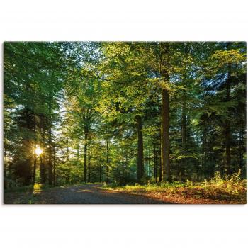 Artland Outdoorbild »Naturweg im Schwarzwald«
