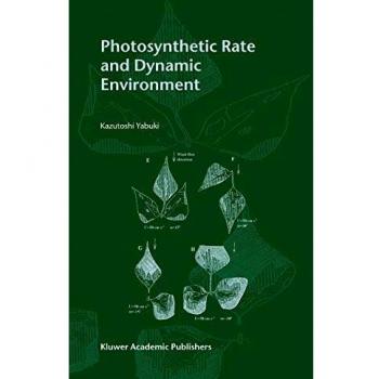 Photosynthetic Rate and Dynamic Environment
