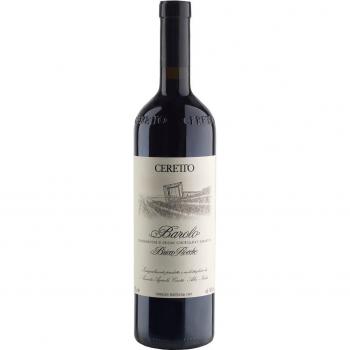 Barolo Bricco Rocche 2019
