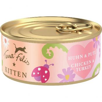 Comida para Gatitos Terra Felis 18 x 70 g