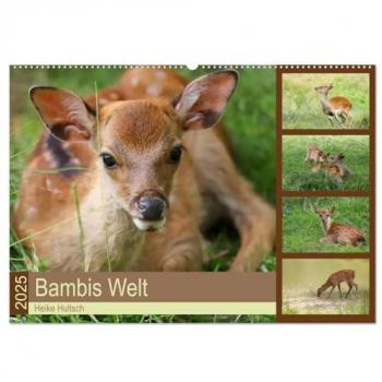 CALVENDO Wandkalender Bambis Welt (Wandkalender 2025 DIN A2 quer), CALVENDO Monatskalender