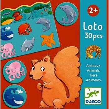 Djeco Critter Knowledge Quest