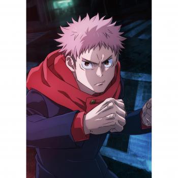 Jujutsu Kaisen Shibuya Jihen 1 Blu-ray Erstausgabe