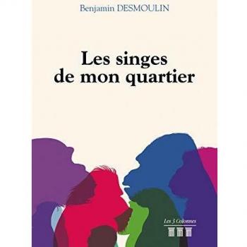Les singes de mon quartier