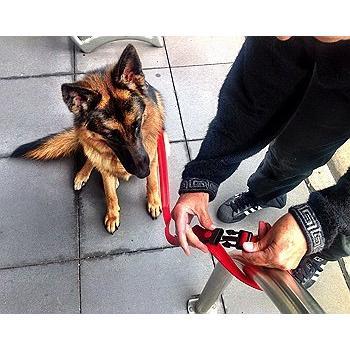 CannyBridge Black 15 mm/120 cm Lead