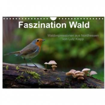 Klapp, Lutz: Faszination Wald. Waldimpressionen aus Nordhessen von Lutz Klapp (Wandkalender 2024 DIN A4 quer), CALVENDO Monatskalender