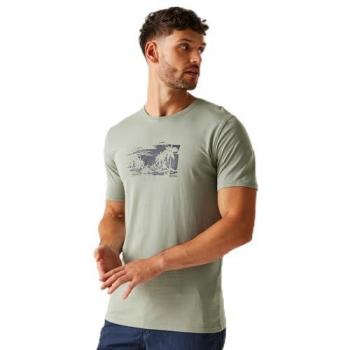 Cline Glacier Beach XL Men's T-Shirt