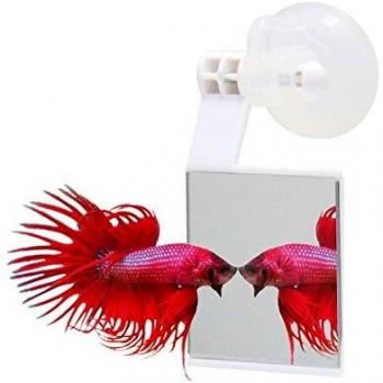 Espejo para Bettas Estimulante