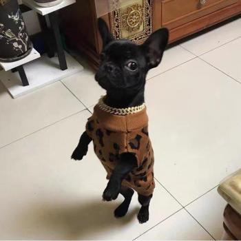 Sweatshirt pour Chihuahua