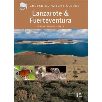 Lanzarote and Fuerteventura : Spain