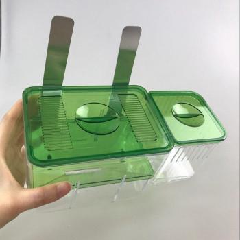 Caja de Cría para Peces