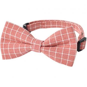 Décoration pour Animal à Fourrure avec Collier Nœud Papillon