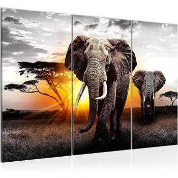 Tableau Prêt à Accrocher Éléphant d'Afrique