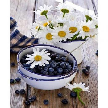 Cadeau DIY Accueil: Décor Fructueux à Broder