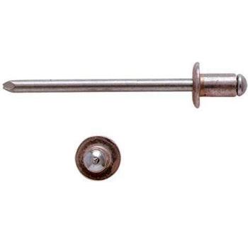 Rivetti ciechi in alluminio 10 mm 500 pz