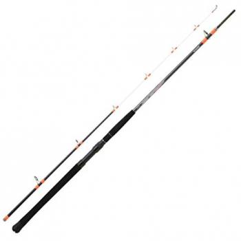 Daiwa Canne Megaforce pour Pêche de Fond