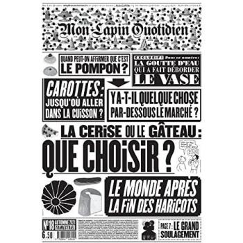 Mon lapin quotidien, n° 18. La cerise ou le gâteau : que choisir ?