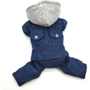 Moda canina: chaquetas de invierno para Yorkshire y Dachshund