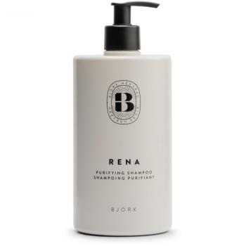 Milk_Shake Shampoo Purificante 750 ml