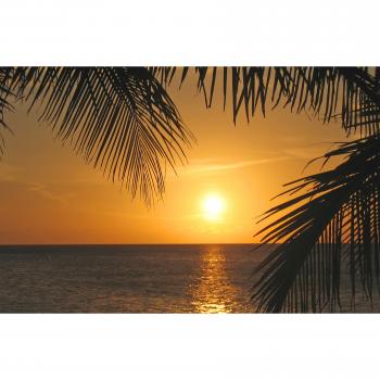 Papermoon Fototapete Palmenidylle