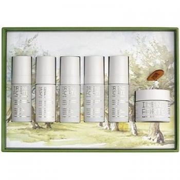 Regenerative Essentials Collection