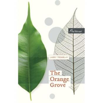 The Orange Grove