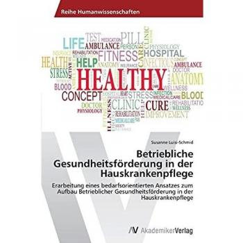 Betriebliche Gesundheitsförderung in der Hauskrankenpflege: Erarbeitung eines bedarfsorientierten Ansatzes zum Aufbau Betrieblicher Gesundheitsförderung in der Hauskrankenpflege