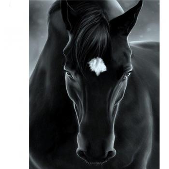 Immagine strass cavallo nero 20X30CM