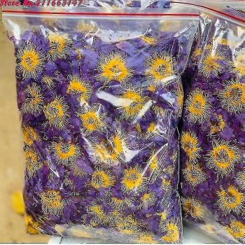 Nymphaea Seco para Fabricación de Fragancias