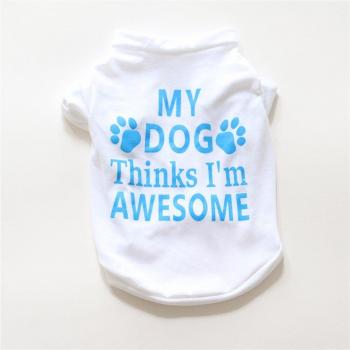 Camiseta Casual para Gatos